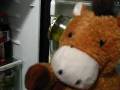 videos de Chico Looks For Comida