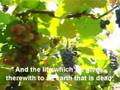 God is One God - Quran - Surah 2 - Vers. 163 - 164.mp4