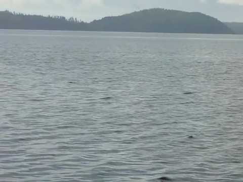 Icy Bay Camping How to -