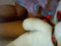 jonasbrotherstv-starting-monday-night-stuft-animal-style.html