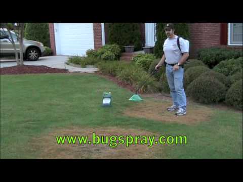 how to treat zoysia fungus