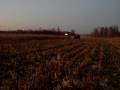 videos de Case IH 2388 Shelling Corn