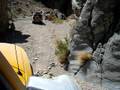FJ Cruiser in Death Valley