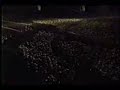Car vs. Popcorn