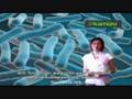 Toxins In Our Food