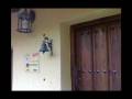 videos de NuevaEscuela.mp4