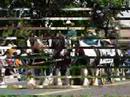 American Gypsy Horses - Jan 08 Sales American Gypsy Horses - Jan 08 Sales