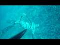 FERSUB DOBLETE AL AGUJERO video