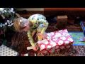 Jonah opens Grandma and Grandpa's present
