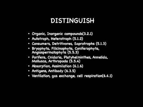 how to study for ib biology hl exam