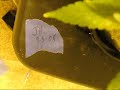 Growing Marijuana In My Closet? (Jock Horror)