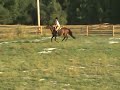 Roxy Over Fences (1st Lines)