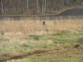 Cross-Vesan.wmv
