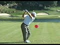 Jay Williamson Iron SwingVision
