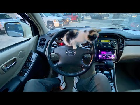 2002 toyota highlander limited asmr relaxing pov baby cat driving
