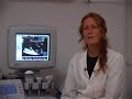 Tv Crecer - Embarazo 2do trimestre II