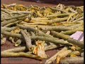 BIO-GAS FROM VEGETABLE WASTE
