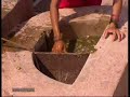 BIO-GAS FROM VEGETABLE WASTE
