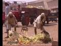 BIO-GAS FROM VEGETABLE WASTE