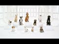 Marcha Imperial de Star Wars interpretada por perros