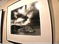 Art Photographer Terrance Hounsell