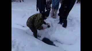 6-7 классы: Видео с биостанции :)