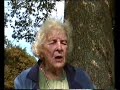 shipwrecked - a suvivors tale shipwrecked - a suvivors tale