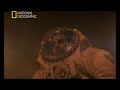 [2] Ciencia al desnudo - Planetas infernales