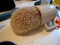 zumi the hedgehog annointing himself with tea...