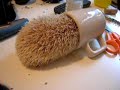zumi the hedgehog annointing himself with tea...
