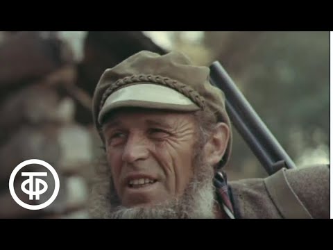 Рассказы об охоте