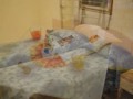 Hotel in Milan: Hotel Sabatino - Milan Italy