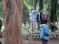 videos de Mr G's swings!