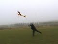 Dodgy Hand Launch