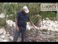 Bermuda Dry Stone Wall Making as seen on LookBermuda.TV