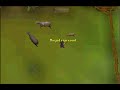How 2 Level up 73 - 74 str fast
