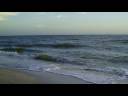 Sanibel Island, 12-10-08