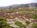Languedoc-Roussilon
