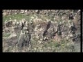 Eagles in Gamla Eagles in Gamla