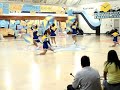 CIHS - short flags