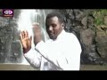 Daballee oromo Fayyissa Furii(Fayyee)