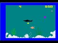 Shark! Shark! Shark! Shark!
