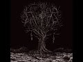 Thyrfing - Farsotstider