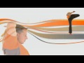 Dr. Kathy Weber Demonstrates How to Apply Moji Knee.avi