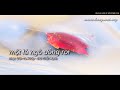Một lá ngô đồng rơi