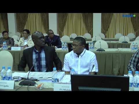 how to assess performance