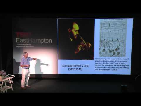 TEDxEastHampton - Paul Roossin on the Neurology of Dreams