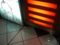 videos de Zumo