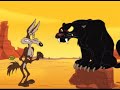crtić, crtani film Čarobnjak