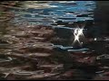 Riflessi sull\
